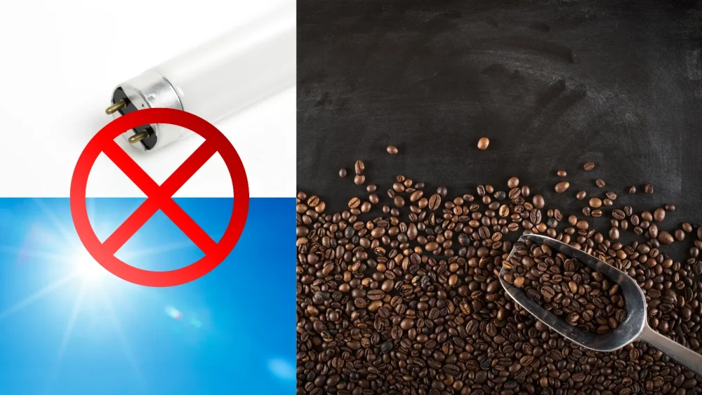 コーヒー豆に悪影響を与える紫外線イメージ