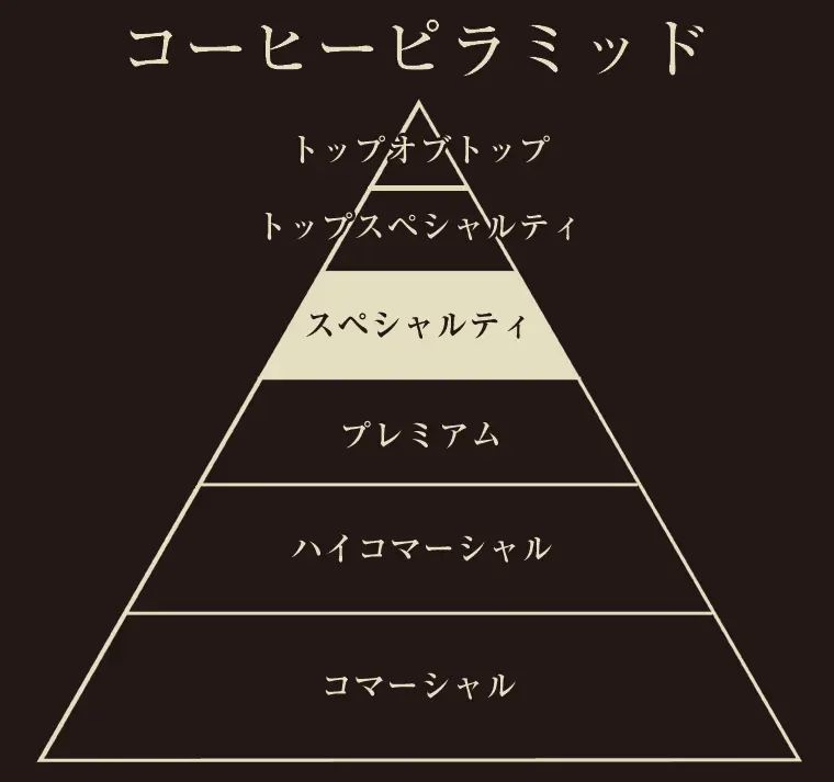 コーヒーピラミッドの画像